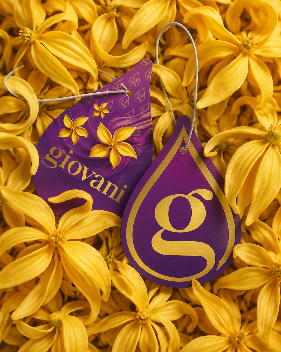Giovani YLANG-YLANG viseči osvežilec zraka